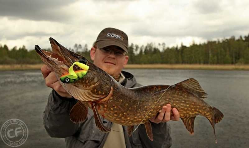 jerkowanie spinningiem